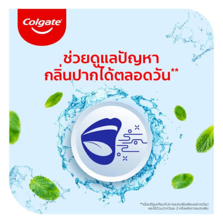 น้ำยาบ้วนปาก คอลเกต สูตรแพลกซ์ ทาร์ตาร์ คอนโทรล ขนาด 500 มล._4